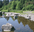 Willamette River Water Treatment Plant Park
