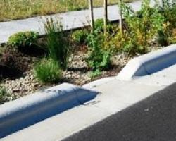 Bio-swale with curb inlet