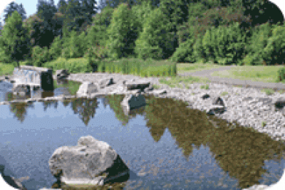 Willamette River Water Treatment Plant Park