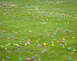 Colored eggs in field