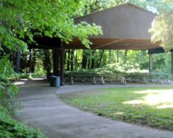 forest shelter
