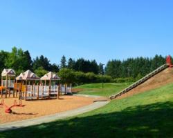play structure and slide