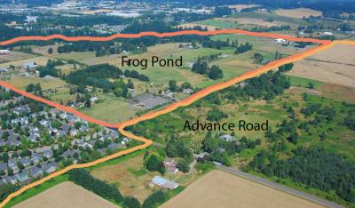 Frog Pond Aerial View
