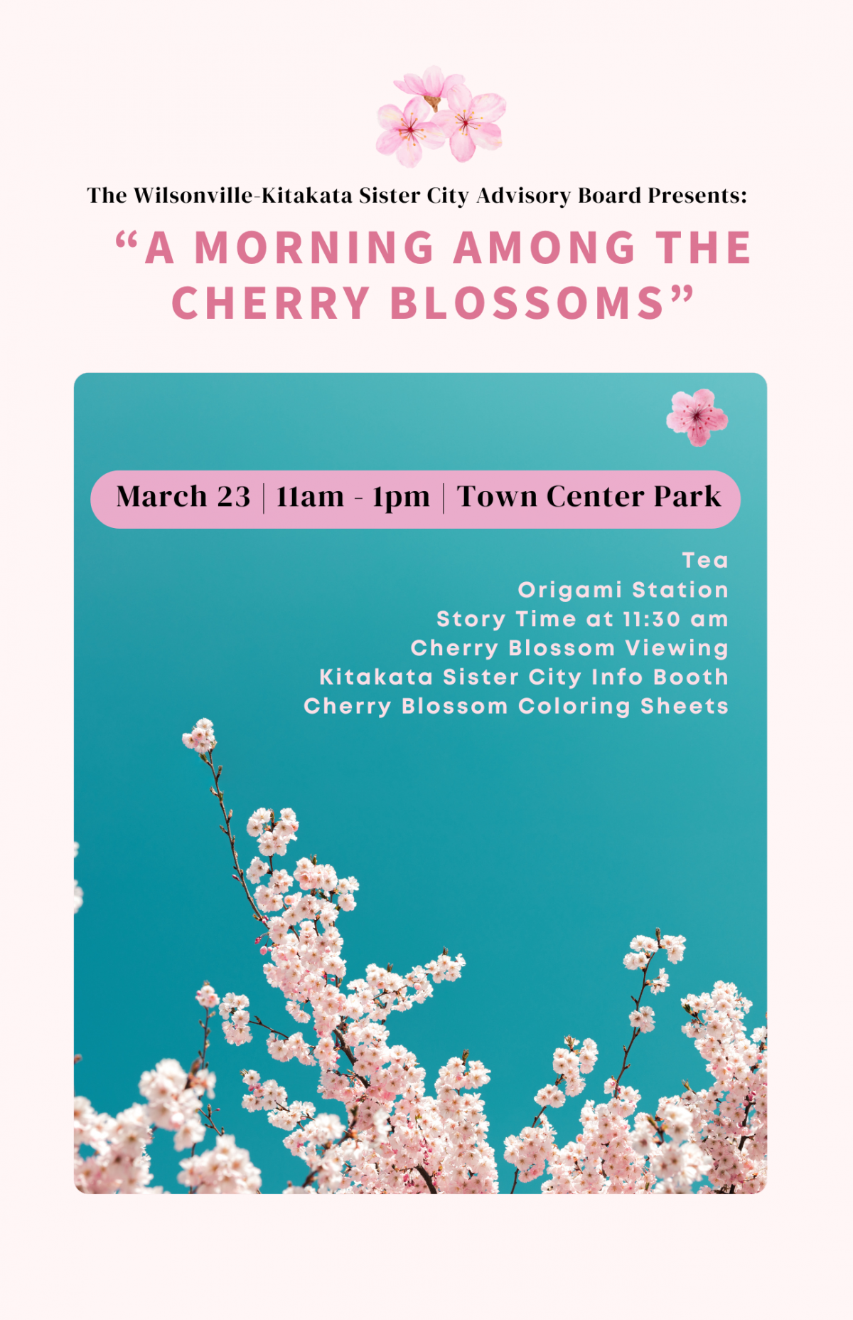 Cherry Blossom Walk