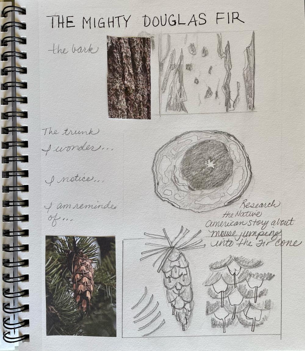 Nature journal example